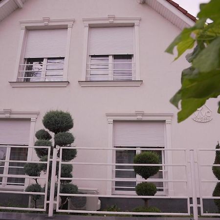 Vivo House Bed and Breakfast Târgu-Mureş Esterno foto