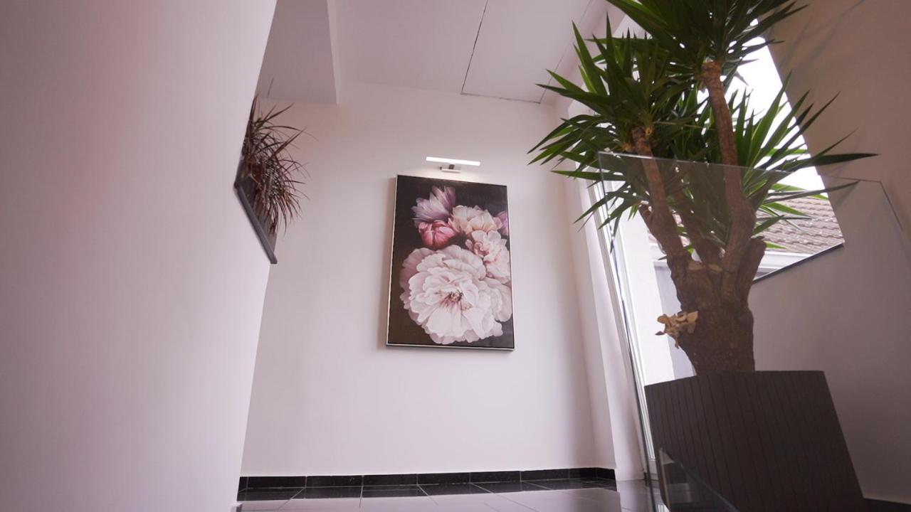 Vivo House Bed and Breakfast Târgu-Mureş Esterno foto